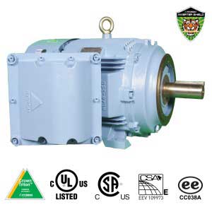 Hyundai Crown Triton Series Explosion Proof Inverter Duty TEXP Enclosure C - Face Rigid Base Three Phase Motors 2 HP 1800 RPM 143TC Frame