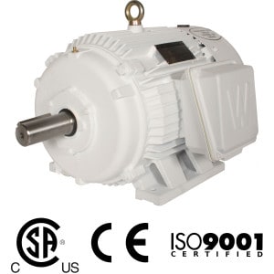 Worldwide Oil Well Pump TEFC Enclosure Rigid Base Three-Phase Motors 3 HP 1200 RPM 213T Frame