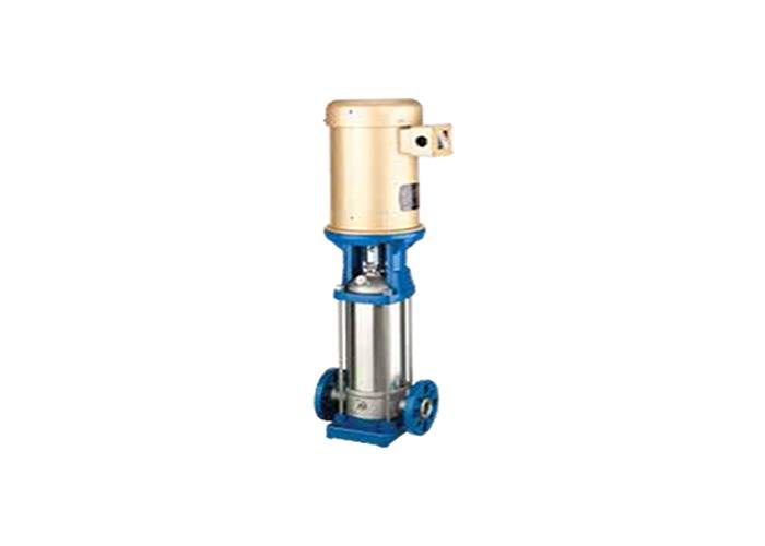 Aurora PVM Vertical Multi-Stage Pump