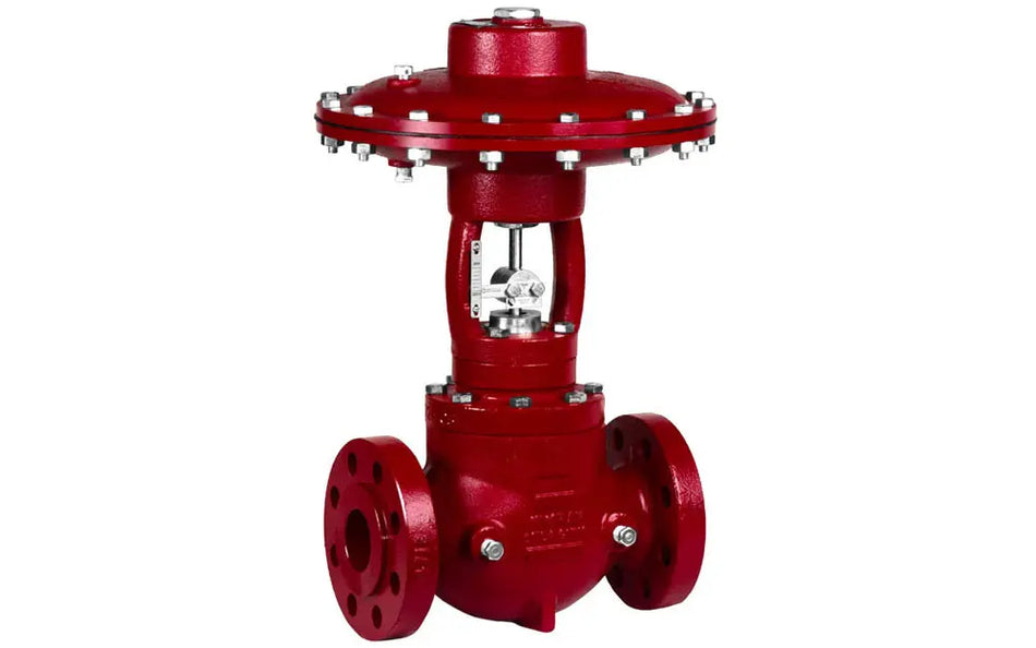 Control Valve/ Cage Guided : EFI