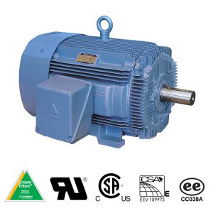 Hyundai Crown Triton Series TEFC Enclosure Rigid Base Three Phase Motors 1.5 HP 1200 RPM 182T Frame
