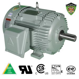 Hyundai Crown Triton Series IEEE-841 TEFC Enclosure Rigid Base Three Phase Motors 2 HP 3600 RPM 145T Frame