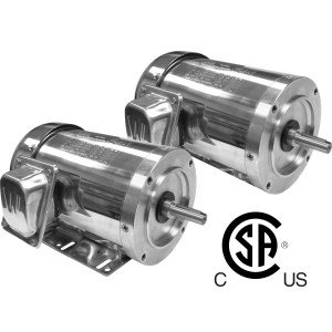 Worldwide Stainless Steel / Washdown Duty TEFC Enclosure Rigid Base Three-Phase Motor 1/3 HP 1800 RPM
