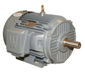 Worldwide Severe Duty TEFC Enclosure Rigid Base Three-Phase Motors 1 HP 1200 RPM 145T Frame