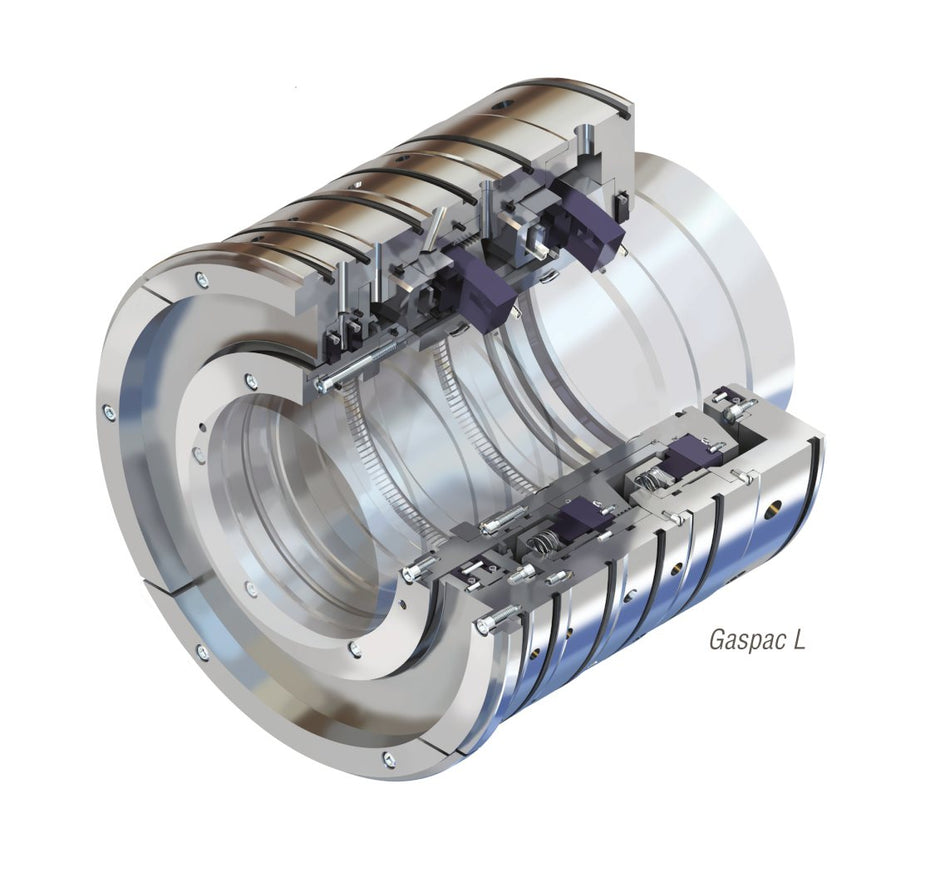 Flowserve Gaspac Seal